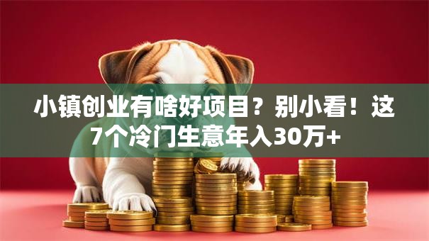 小镇创业有啥好项目？别小看！这7个冷门生意年入30万+