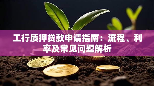 工行质押贷款申请指南：流程、利率及常见问题解析