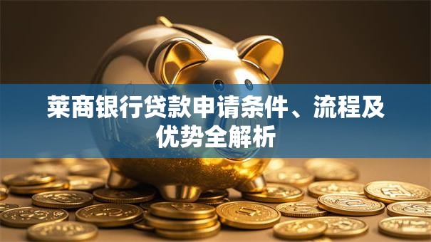 莱商银行贷款申请条件、流程及优势全解析