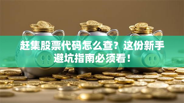 赶集股票代码怎么查？这份新手避坑指南必须看！