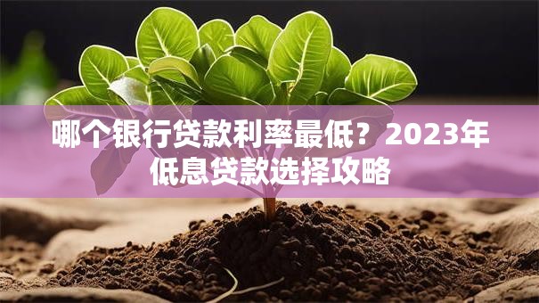 哪个银行贷款利率最低？2023年低息贷款选择攻略