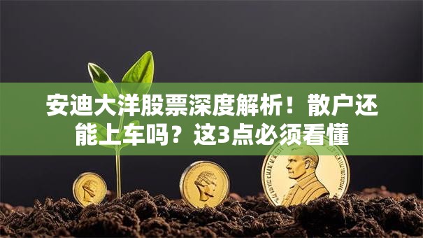 安迪大洋股票深度解析！散户还能上车吗？这3点必须看懂
