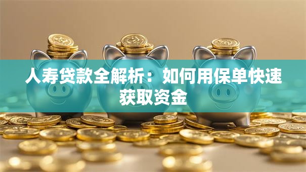 人寿贷款全解析：如何用保单快速获取资金