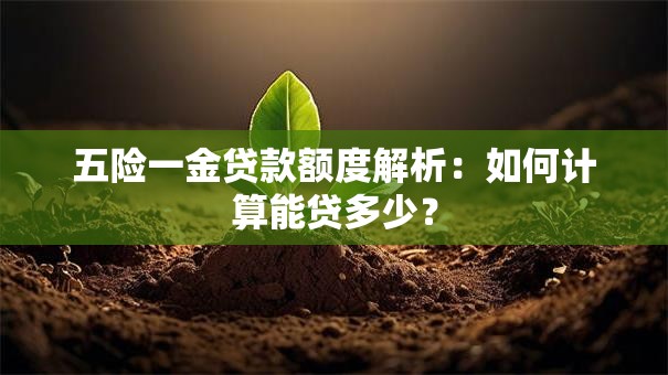 五险一金贷款额度解析：如何计算能贷多少？
