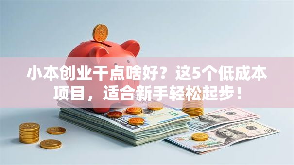 小本创业干点啥好？这5个低成本项目，适合新手轻松起步！