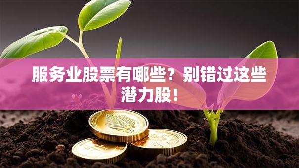 服务业股票有哪些？别错过这些潜力股！