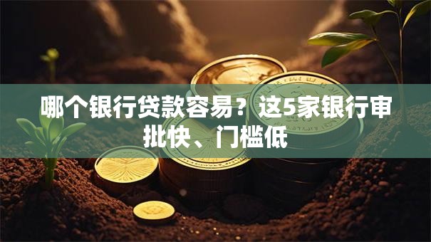 哪个银行贷款容易？这5家银行审批快、门槛低