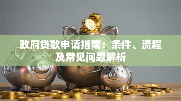 政府贷款申请指南：条件、流程及常见问题解析