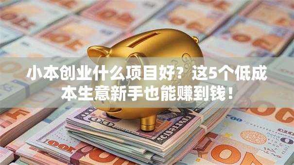 小本创业什么项目好？这5个低成本生意新手也能赚到钱！