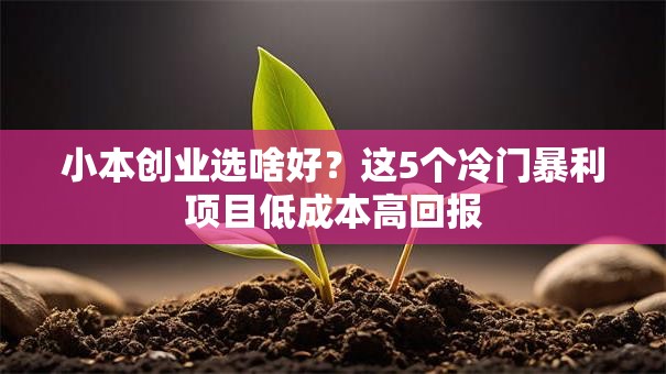 小本创业选啥好？这5个冷门暴利项目低成本高回报