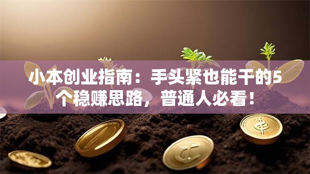 小本创业指南：手头紧也能干的5个稳赚思路，普通人必看！