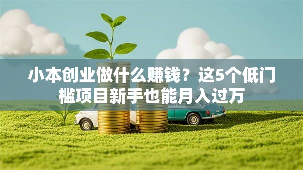 小本创业做什么赚钱？这5个低门槛项目新手也能月入过万