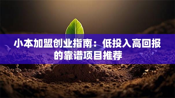 小本加盟创业指南：低投入高回报的靠谱项目推荐