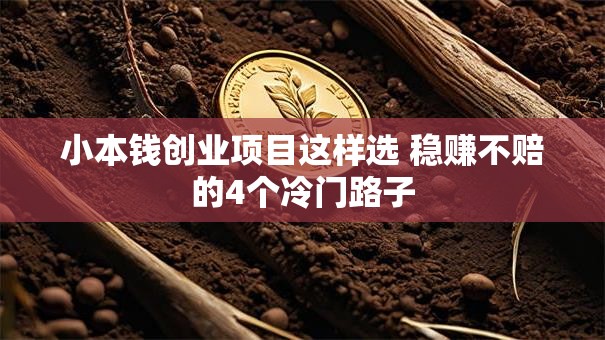 小本钱创业项目这样选 稳赚不赔的4个冷门路子