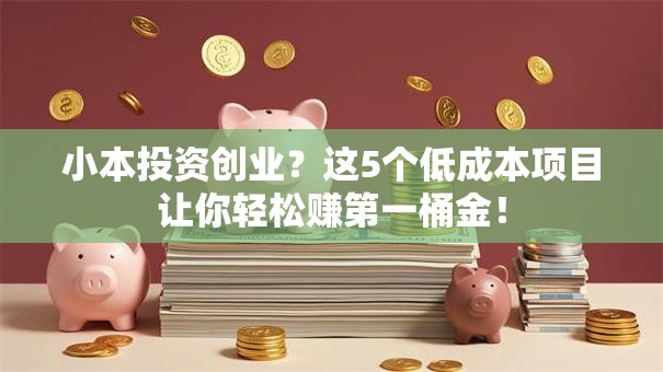 小本投资创业？这5个低成本项目让你轻松赚第一桶金！