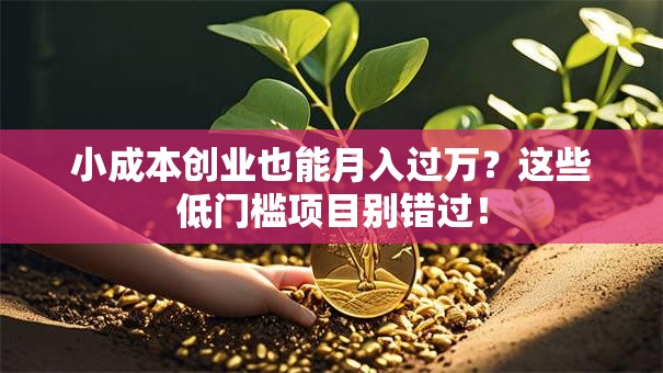小成本创业也能月入过万？这些低门槛项目别错过！