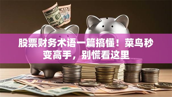 股票财务术语一篇搞懂！菜鸟秒变高手，别慌看这里