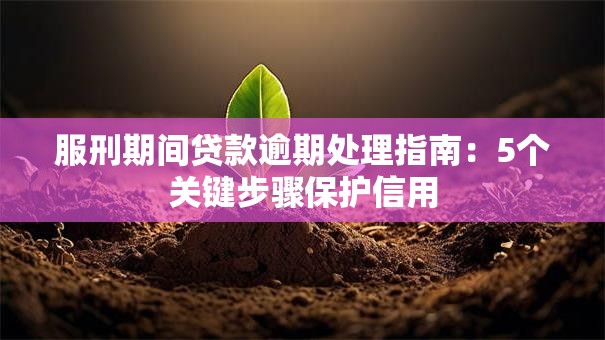 服刑期间贷款逾期处理指南：5个关键步骤保护信用
