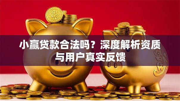 小赢贷款合法吗？深度解析资质与用户真实反馈