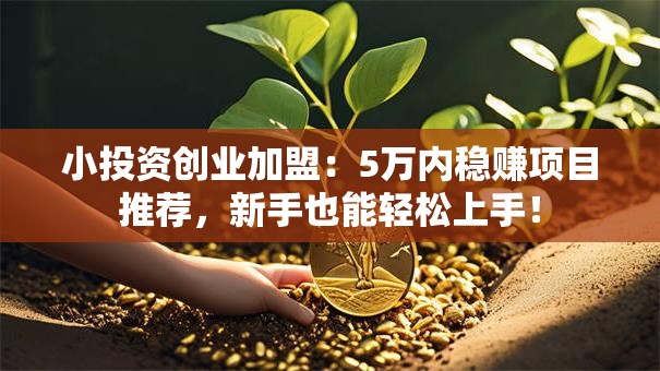 小投资创业加盟：5万内稳赚项目推荐，新手也能轻松上手！