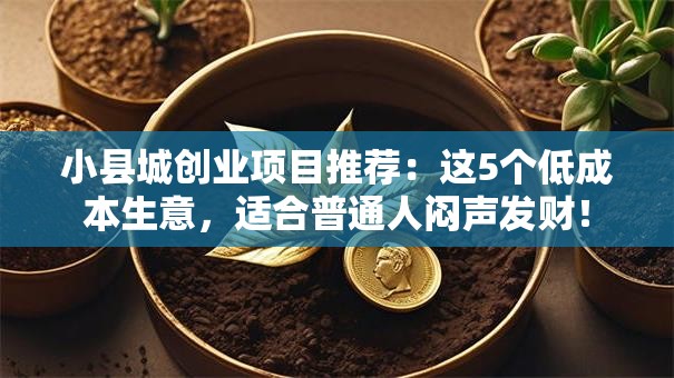 小县城创业项目推荐：这5个低成本生意，适合普通人闷声发财！