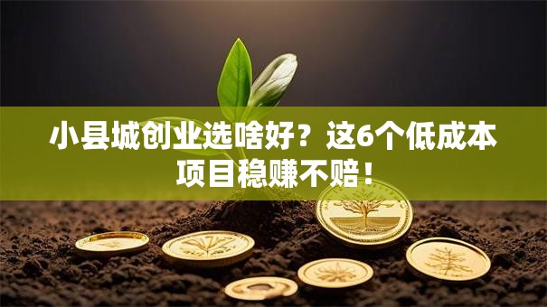 小县城创业选啥好？这6个低成本项目稳赚不赔！