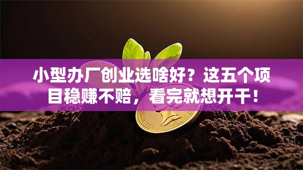 小型办厂创业选啥好？这五个项目稳赚不赔，看完就想开干！