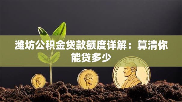 潍坊公积金贷款额度详解：算清你能贷多少