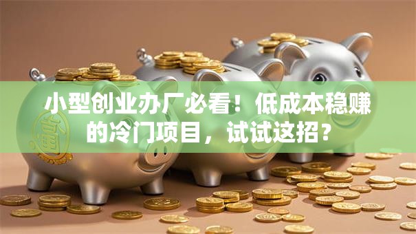 小型创业办厂必看！低成本稳赚的冷门项目，试试这招？