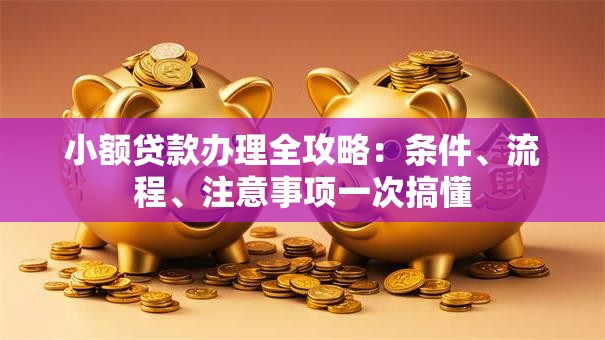 小额贷款办理全攻略：条件、流程、注意事项一次搞懂
