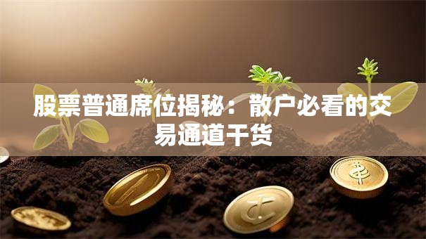 股票普通席位揭秘：散户必看的交易通道干货