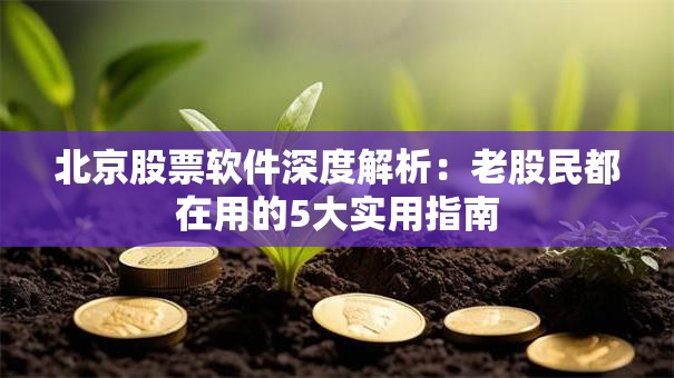 北京股票软件深度解析：老股民都在用的5大实用指南