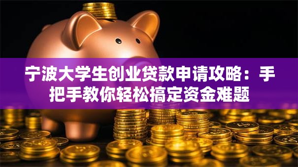 宁波大学生创业贷款申请攻略：手把手教你轻松搞定资金难题