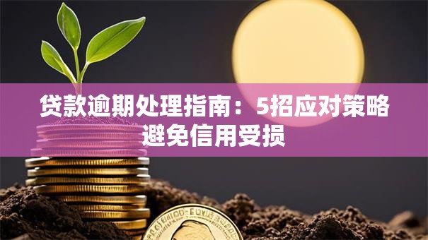 贷款逾期处理指南：5招应对策略避免信用受损