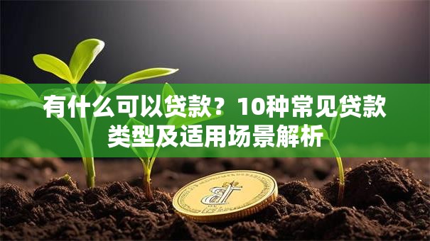 有什么可以贷款？10种常见贷款类型及适用场景解析