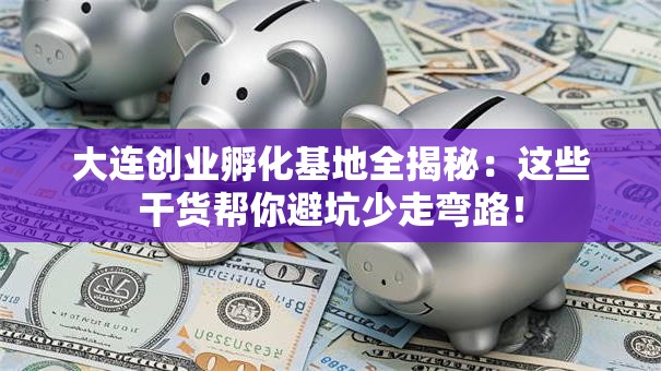 大连创业孵化基地全揭秘：这些干货帮你避坑少走弯路！