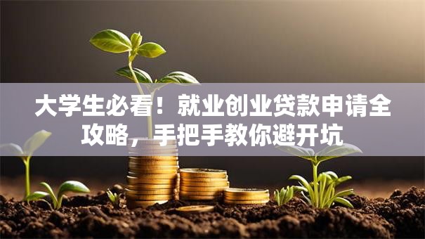 大学生必看！就业创业贷款申请全攻略，手把手教你避开坑