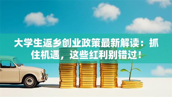 大学生返乡创业政策最新解读：抓住机遇，这些红利别错过！