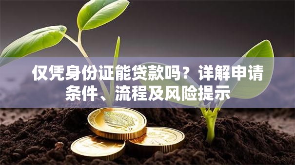 仅凭身份证能贷款吗？详解申请条件、流程及风险提示