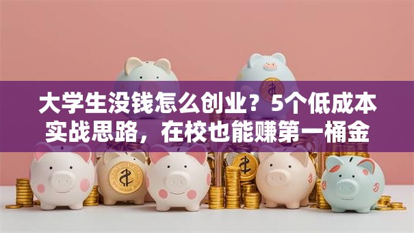 大学生没钱怎么创业？5个低成本实战思路，在校也能赚第一桶金！