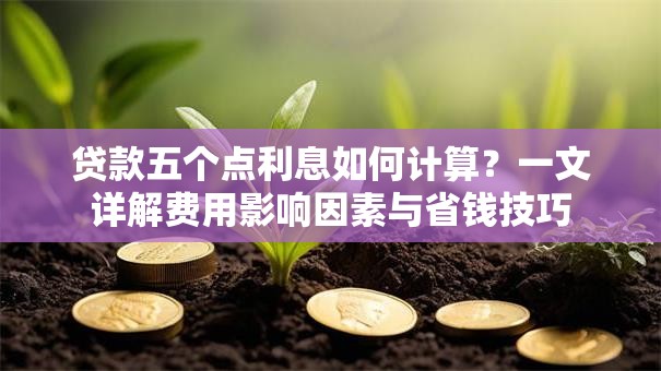 贷款五个点利息如何计算？一文详解费用影响因素与省钱技巧