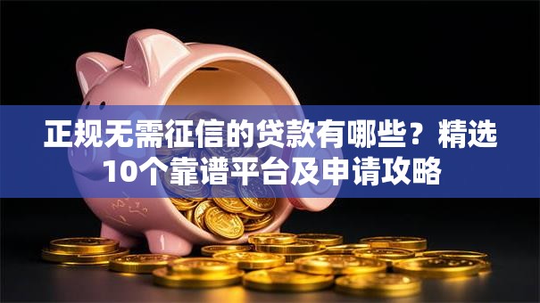 正规无需征信的贷款有哪些？精选10个靠谱平台及申请攻略
