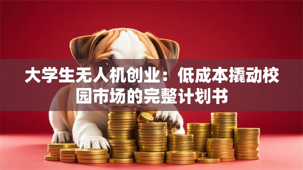 大学生无人机创业：低成本撬动校园市场的完整计划书