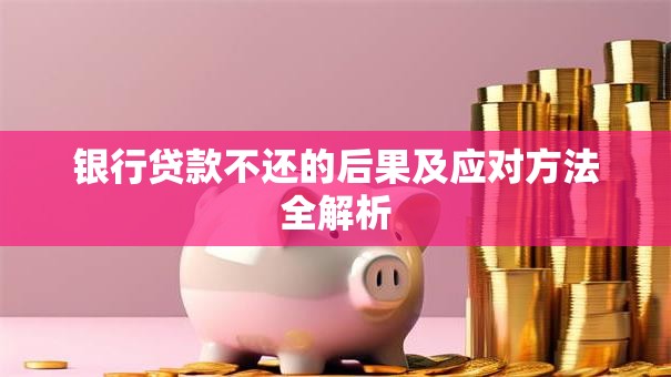 银行贷款不还的后果及应对方法全解析