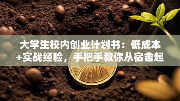 大学生校内创业计划书：低成本+实战经验，手把手教你从宿舍起步月入过万！