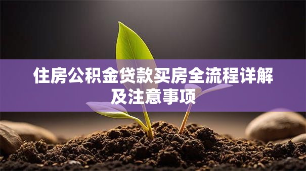 住房公积金贷款买房全流程详解及注意事项