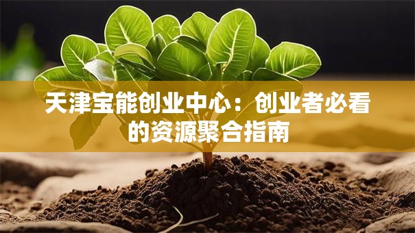 天津宝能创业中心：创业者必看的资源聚合指南