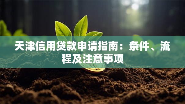 天津信用贷款申请指南：条件、流程及注意事项