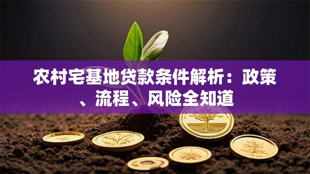 农村宅基地贷款条件解析：政策、流程、风险全知道