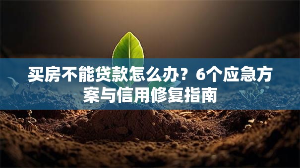 买房不能贷款怎么办？6个应急方案与信用修复指南